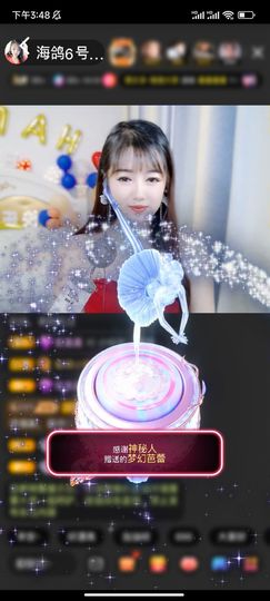 海鸽晚上见主播照片