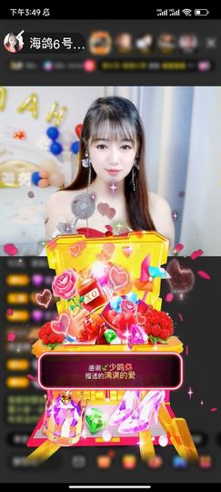 海鸽晚上见主播照片
