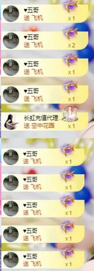 海鸽晚上见主播照片