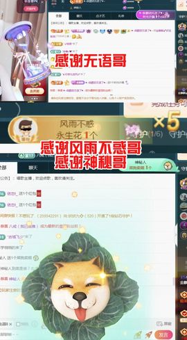 金麒麟好运连连🎤主播照片