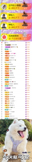 陈慧慧🥕早9晚8主播照片