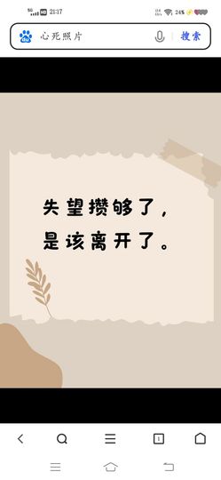 老-公丶主播照片