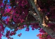 沉默LASE主播照片