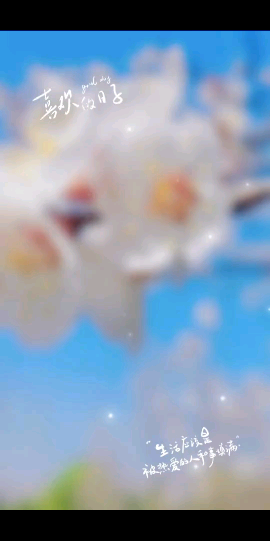 周末愉快🌸