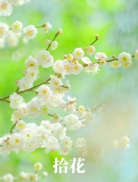 AI兰舟主播照片