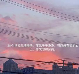 甜甜很萌新的图片