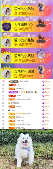 陈慧慧🥕早9晚8主播照片