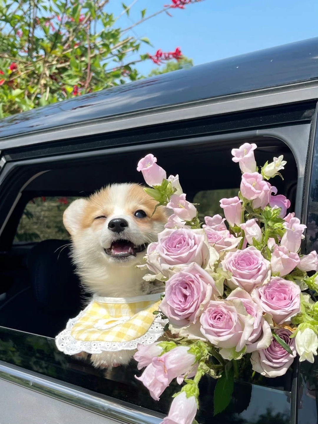 洁儿宝宝💗的主播照片
