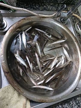 168888大叔主播照片