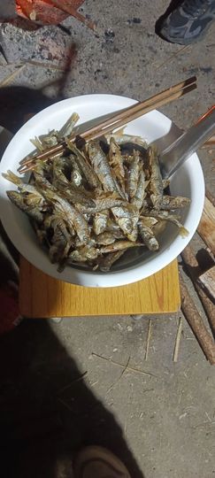 168888大叔主播照片