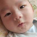 杨玉红z
