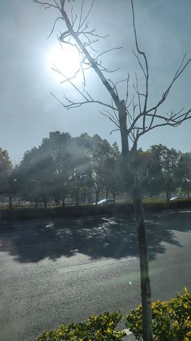 婷婷💕感恩有你陪伴的图片