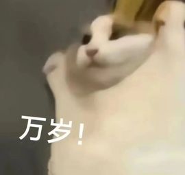 哇达西想暴富🦋主播照片