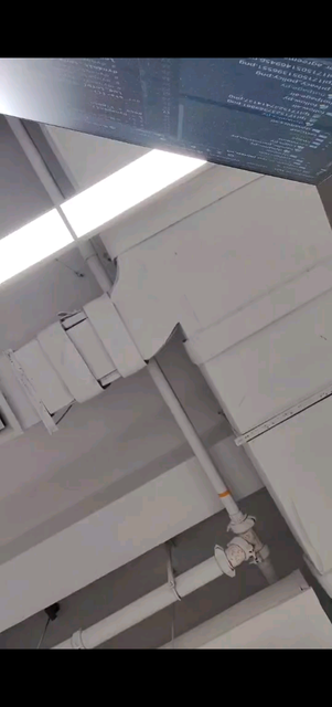 天气真好呀