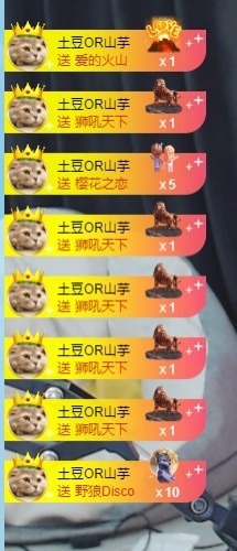 呆呆羊^主播照片