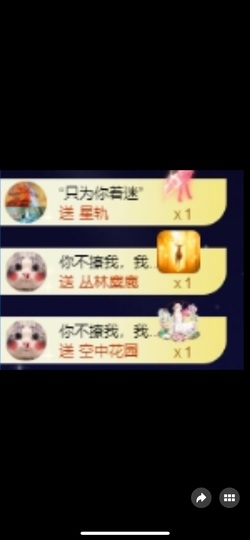 吴攸贺V宝猫哥公爵的图片