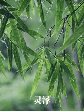 AI兰舟主播照片