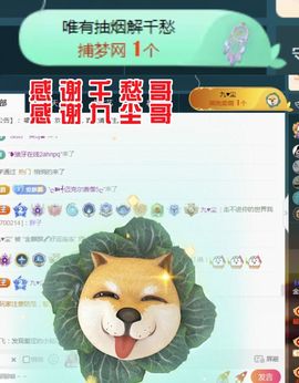 金麒麟安静唱歌🎤主播照片