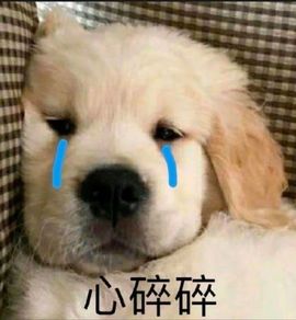 米娜Meena🧸的图片