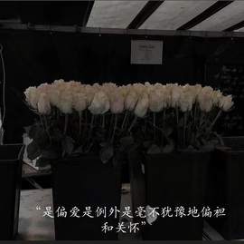 杭哥哥♠️肚疼晚点主播照片