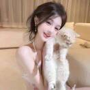 喵星毛豆