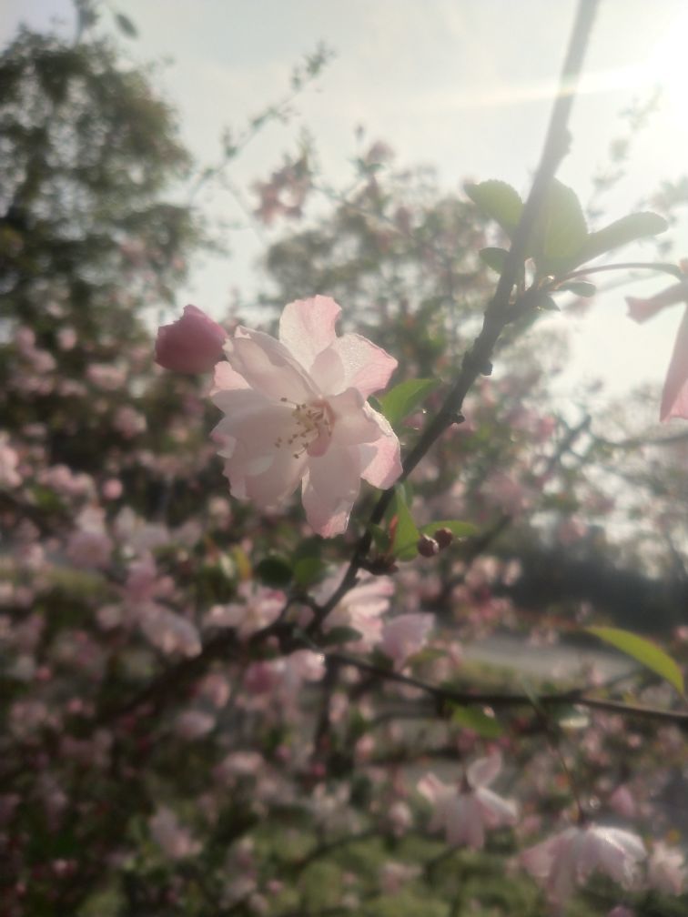 ♥莘♥的图片