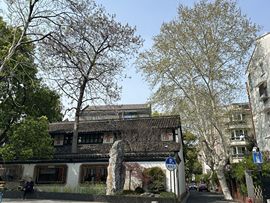 丸子同学❄️.主播照片