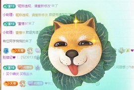 金牌代理❤玲儿❤主播照片