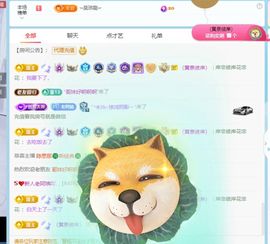 老阿姨吖…主播照片