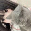 少主os