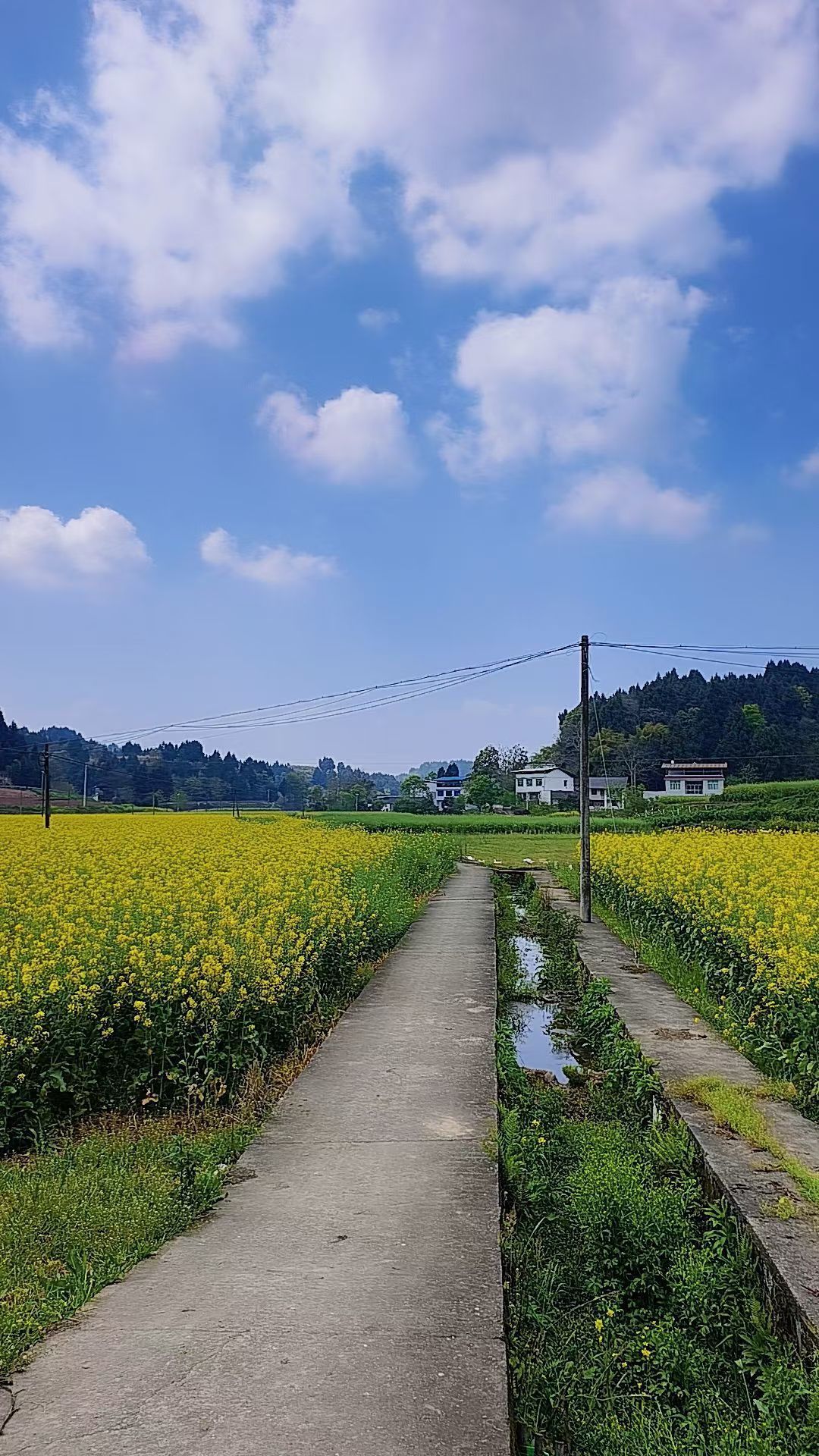 妞妞骑行全国的图片