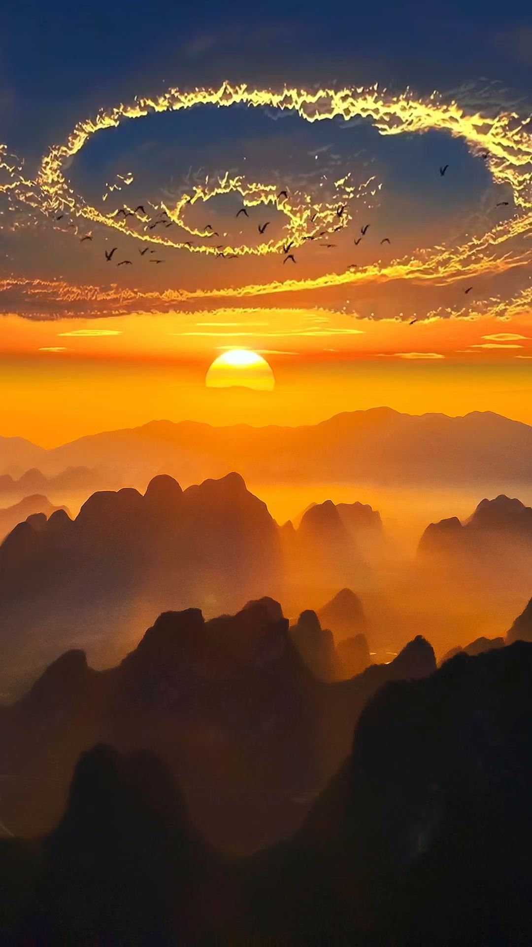 小冬™主播图片