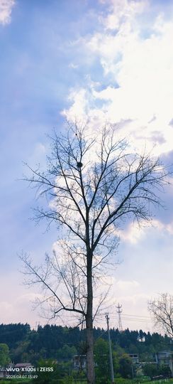 妞妞骑行中国主播照片
