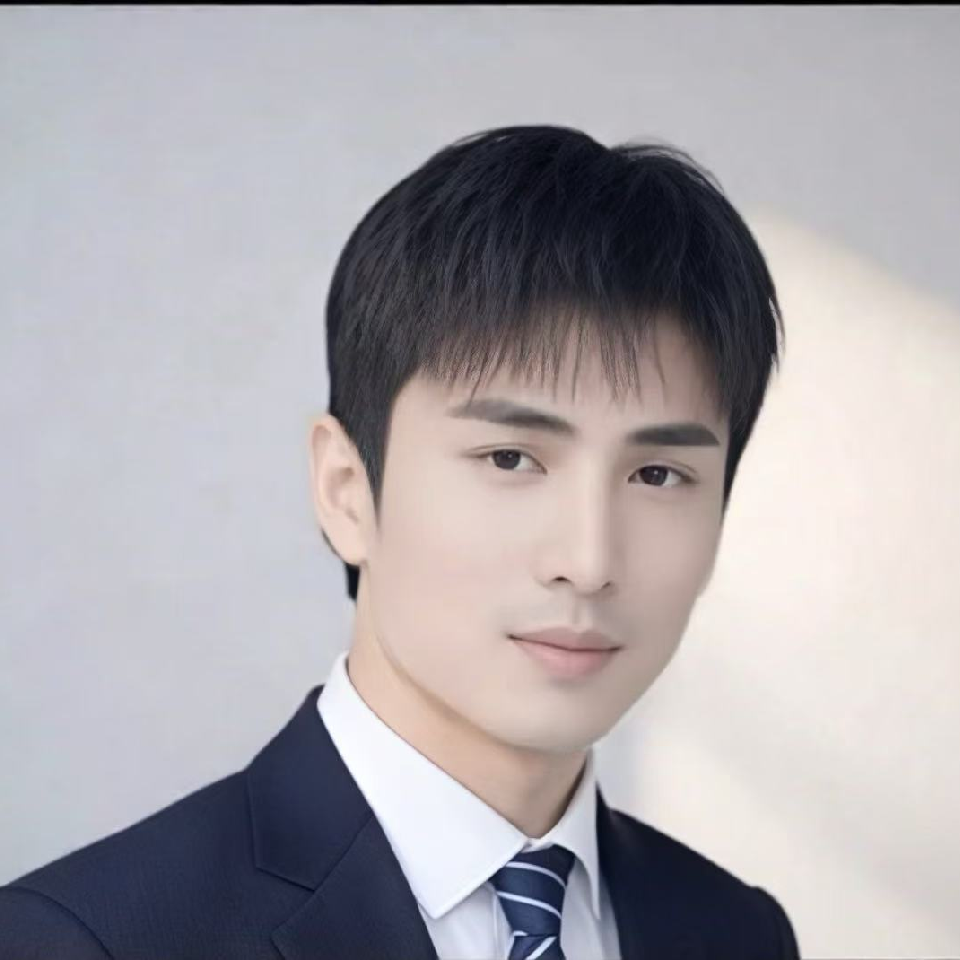 藏～锋海报
