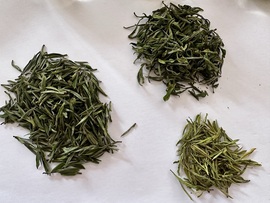茶茶幸运星主播照片