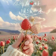 幸运🍁音符的头像