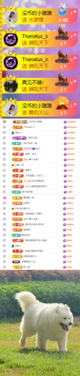 陈慧慧🥕早10晚8主播照片