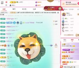 菲儿♥好运来🌈主播照片