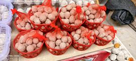 妞妞骑行中国主播照片