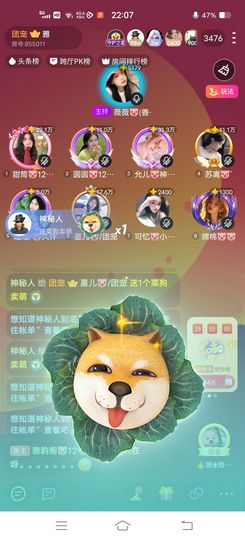 星儿🐷/团宠主播照片