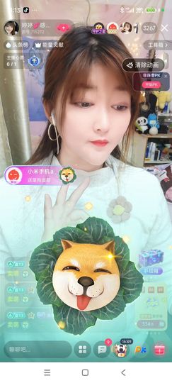 婷婷💕求过月底任务主播照片