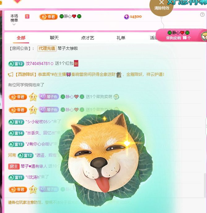 琴子?遇有緣人主播圖片
