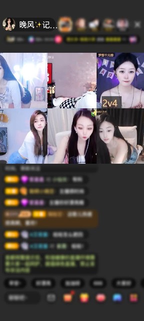 感谢有点任性的先生赠送狮吼天下1个