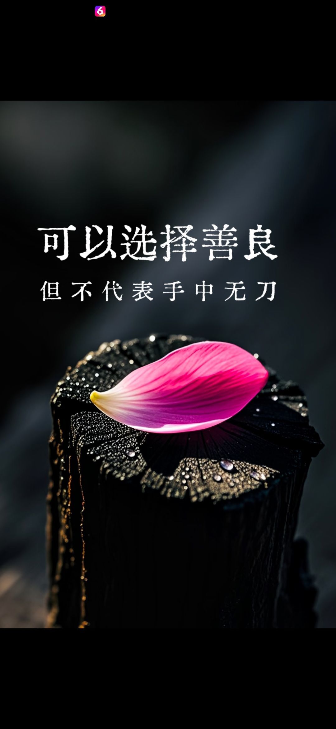 丑小鸭💞愿有一束光的图片