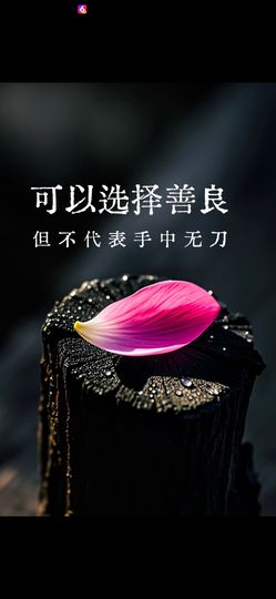 丑小鸭💞愿有一束光主播照片