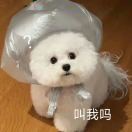 今天读书了