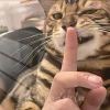 執傘待亽歸z