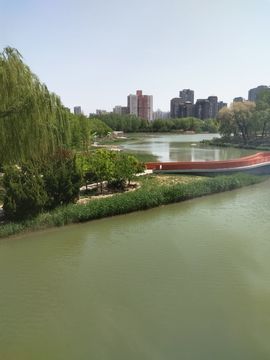 别致选择主播照片