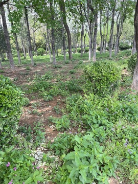 梦梦在唱歌求百元榜主播照片