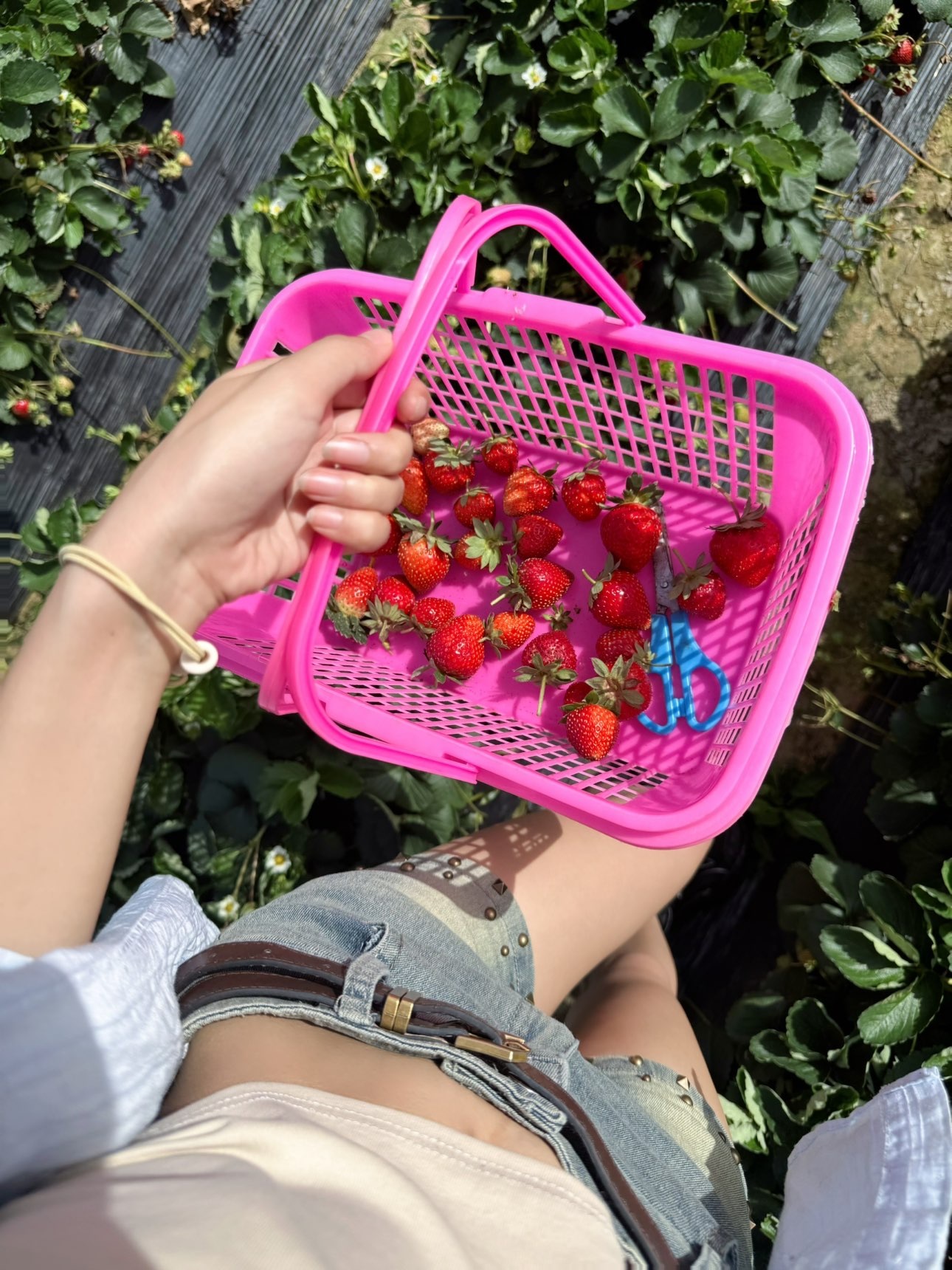 欲崽??芳心主播圖片